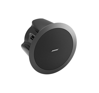Bose FreeSpace DS 16F изображение/фото/картинка